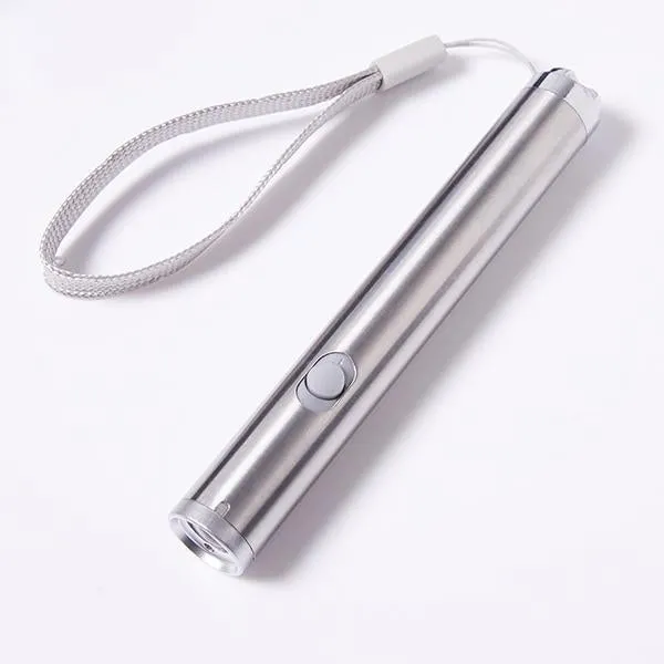 2 in 1 Red Laser Point Cat Toy Pen