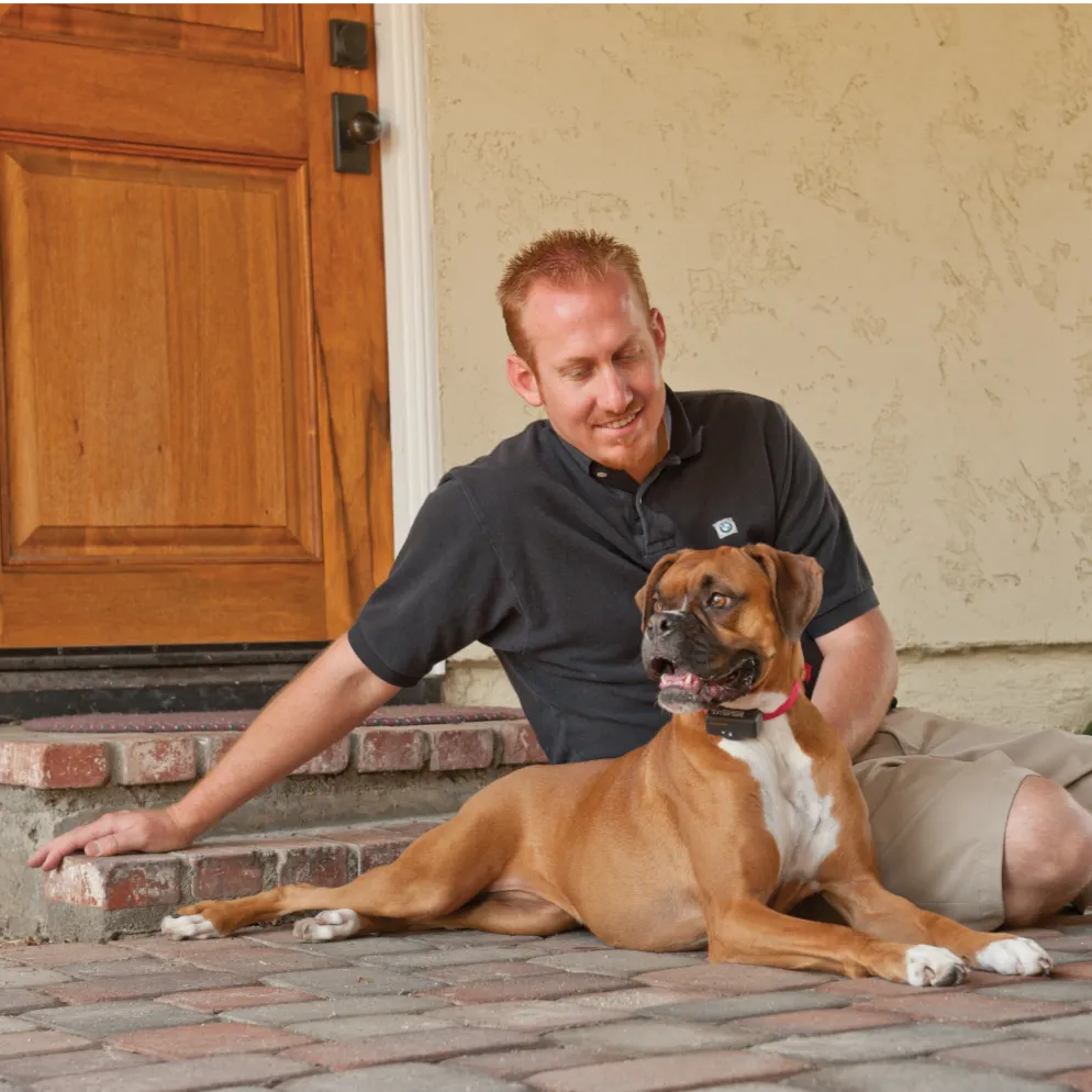 Bark Control Collar