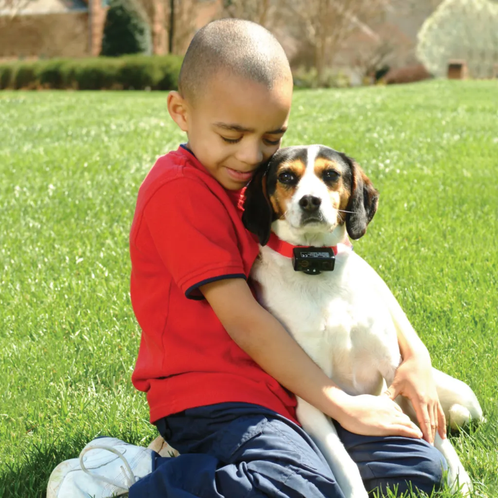 Bark Control Collar