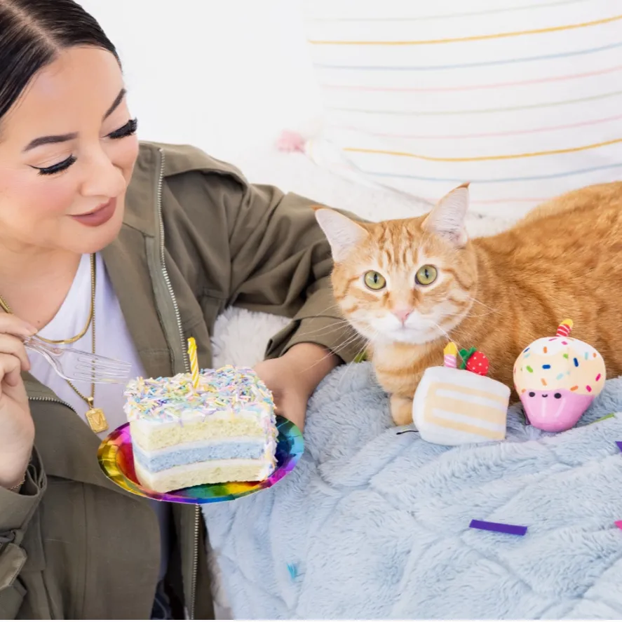 Birthday Cake Cat Toy Set