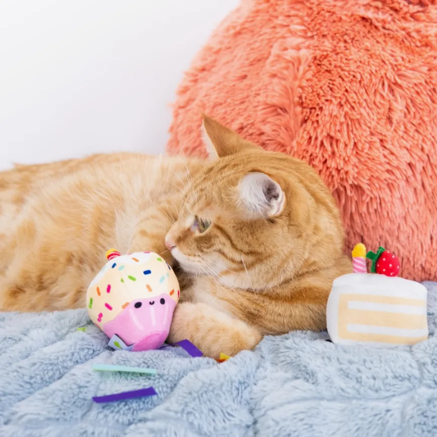 Birthday Cake Cat Toy Set