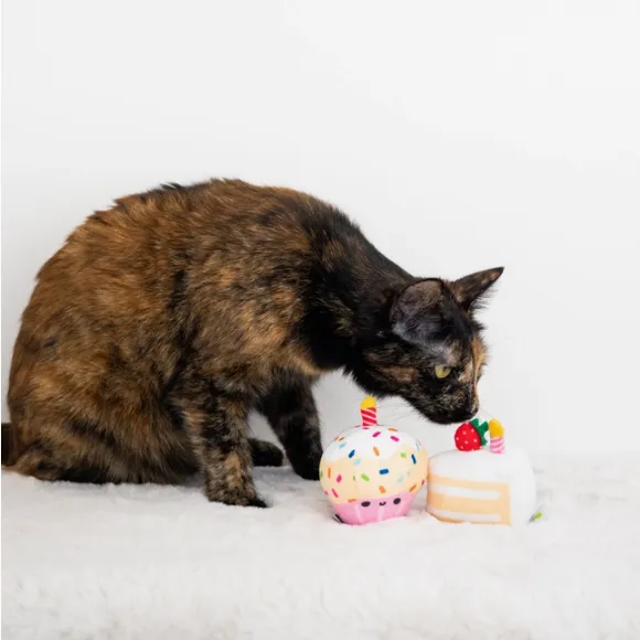 Birthday Cake Cat Toy Set