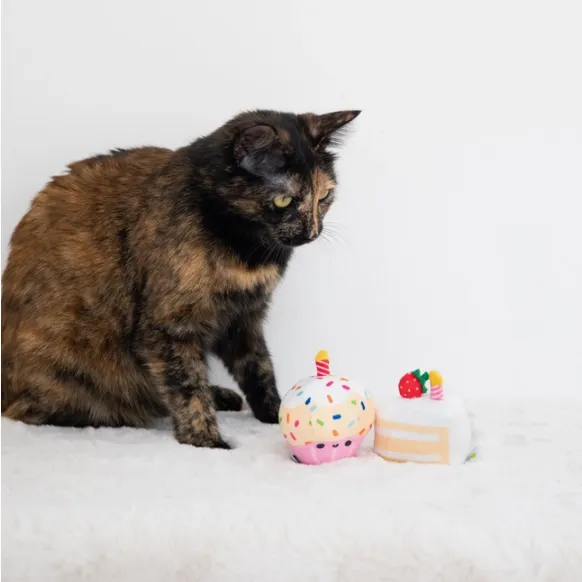 Birthday Cake Cat Toy Set