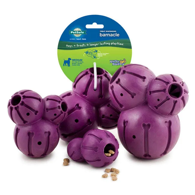 Busy Buddy® Barnacle™