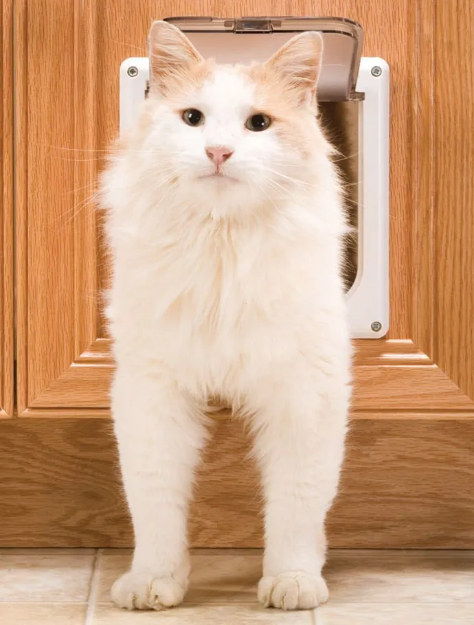 Cat Flap Pet Door