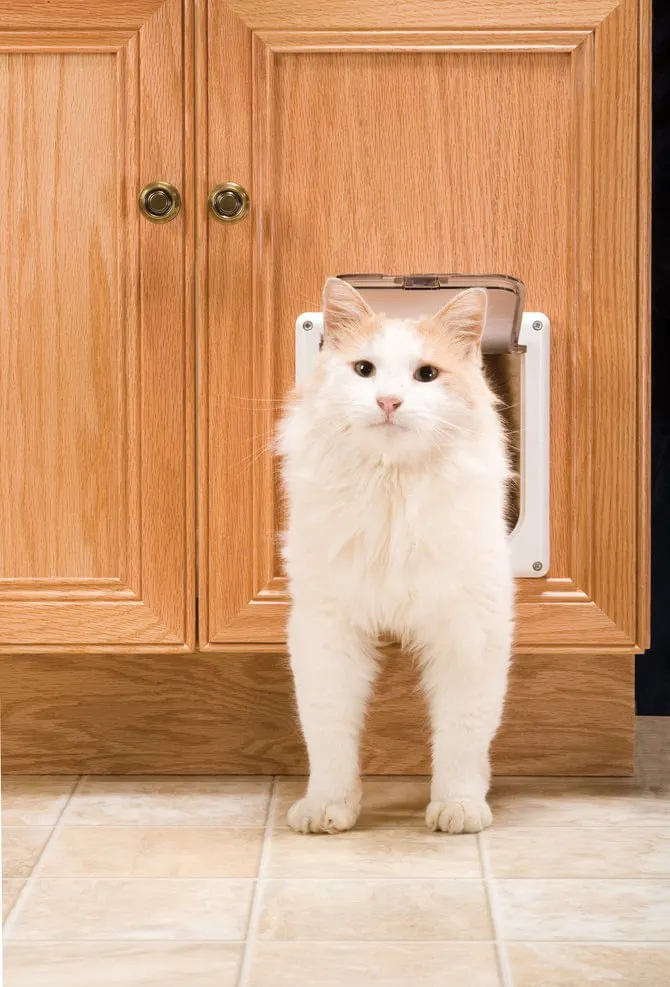 Cat Flap Pet Door