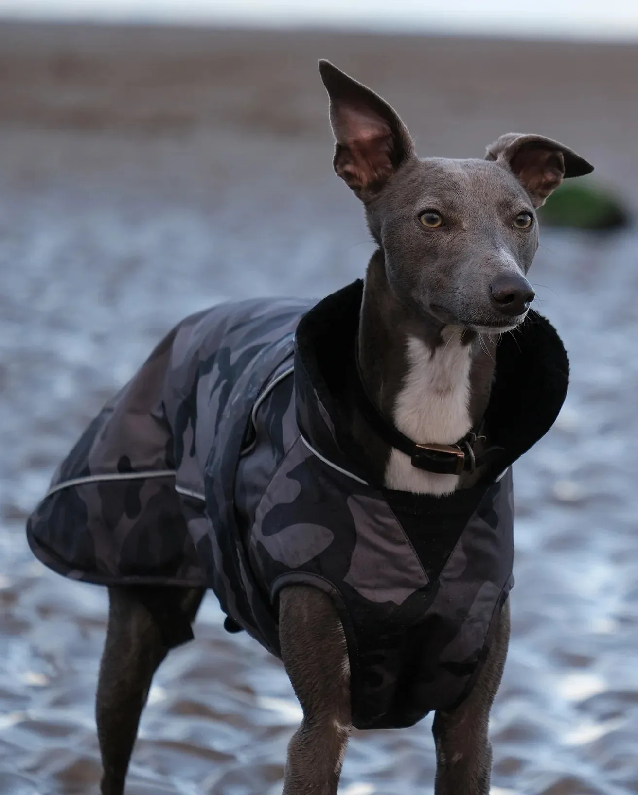 Dog Dryrobe in Camo & Black