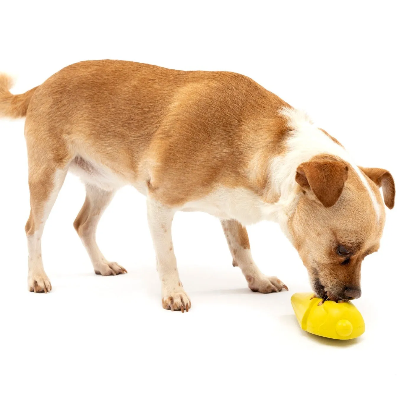Frosty Cone Freezer Toy