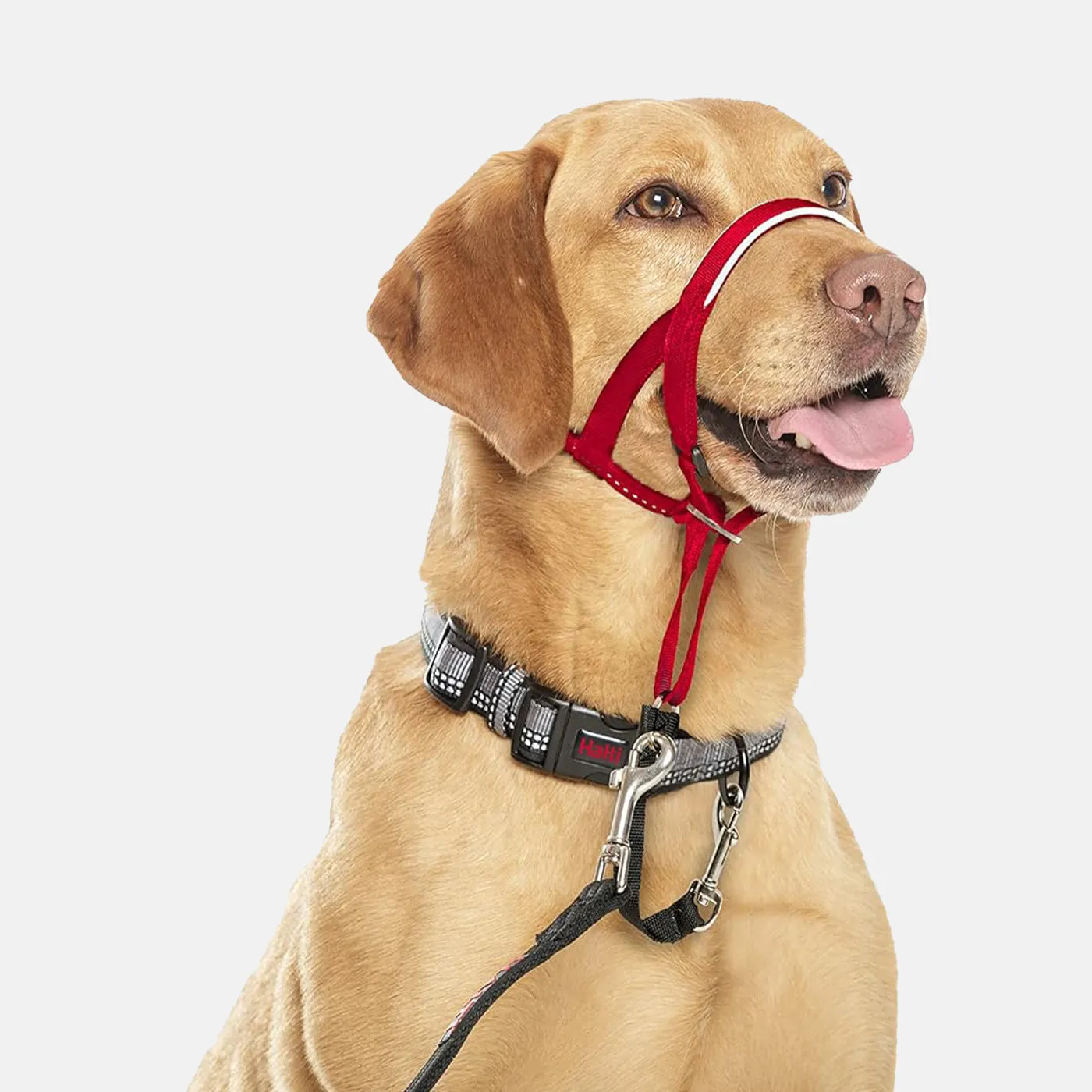 Halti Dog Headcollar - Red