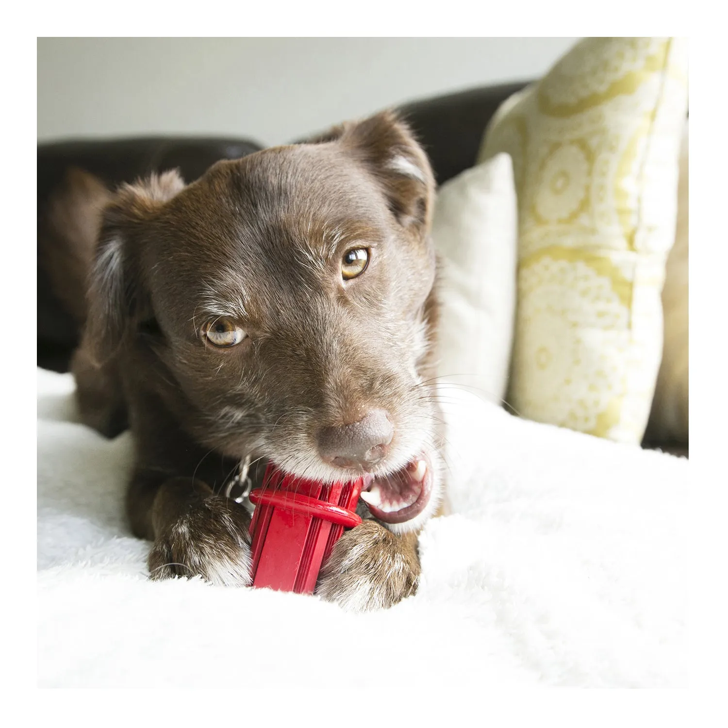 KONG Dental Stick Dog Toy