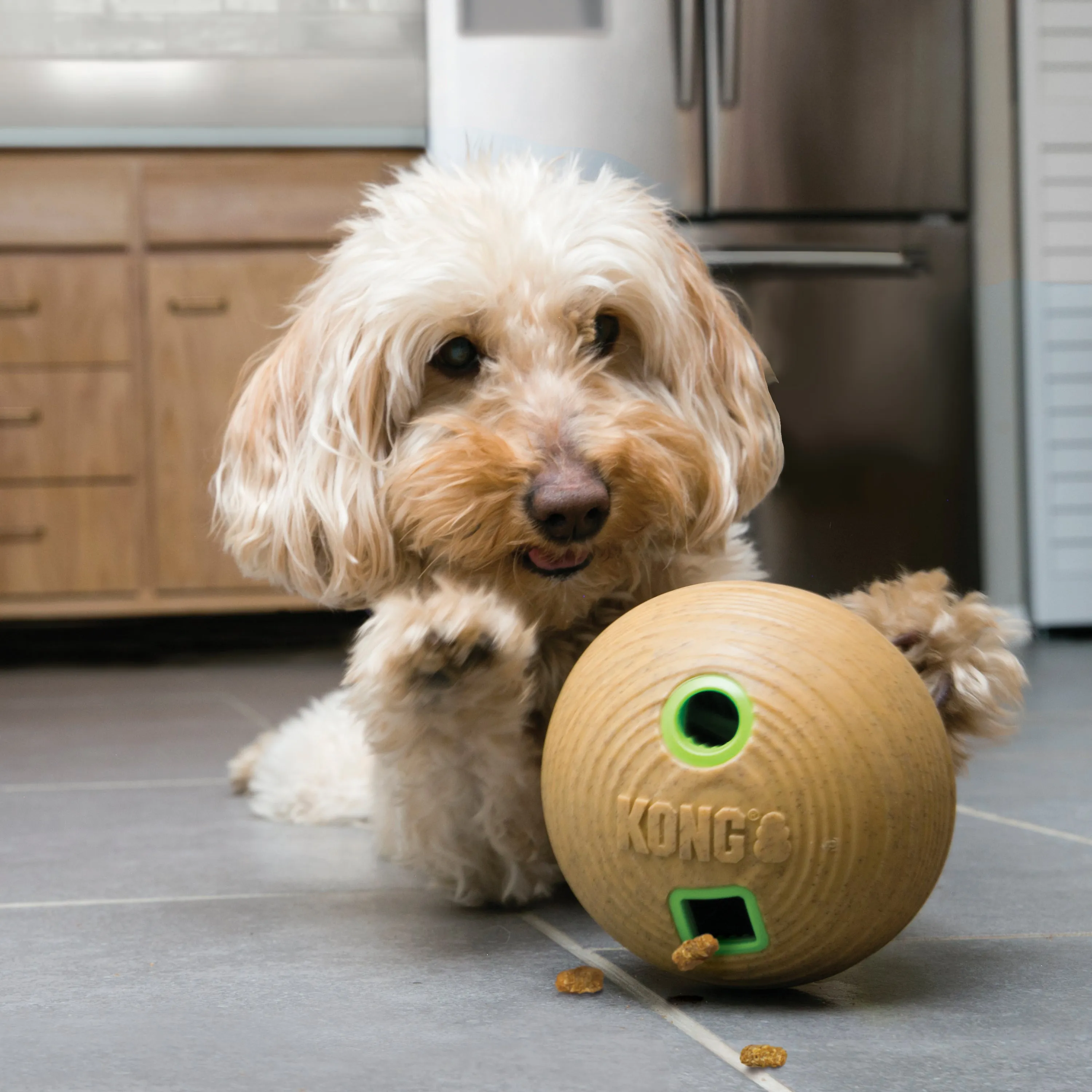 Kong Medium Bamboo Feeder Ball, Dog Toy