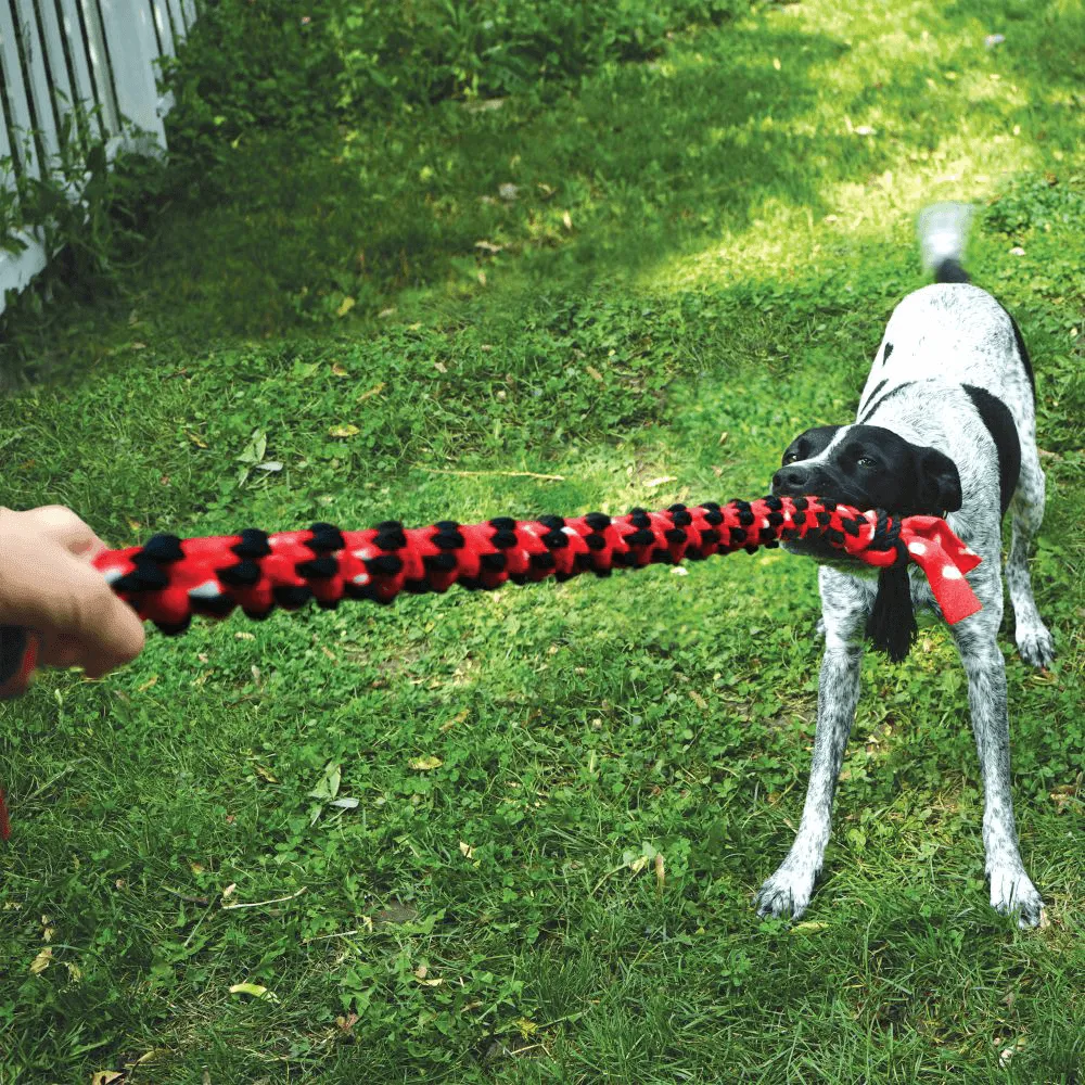 KONG - Signature Rope Dual Knot With Ball