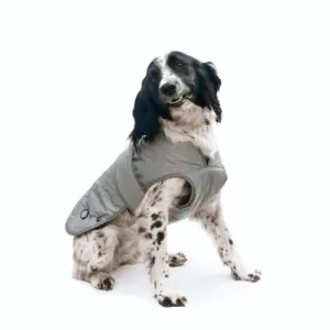Muddy Paws Ultimate Reflective Coat Small