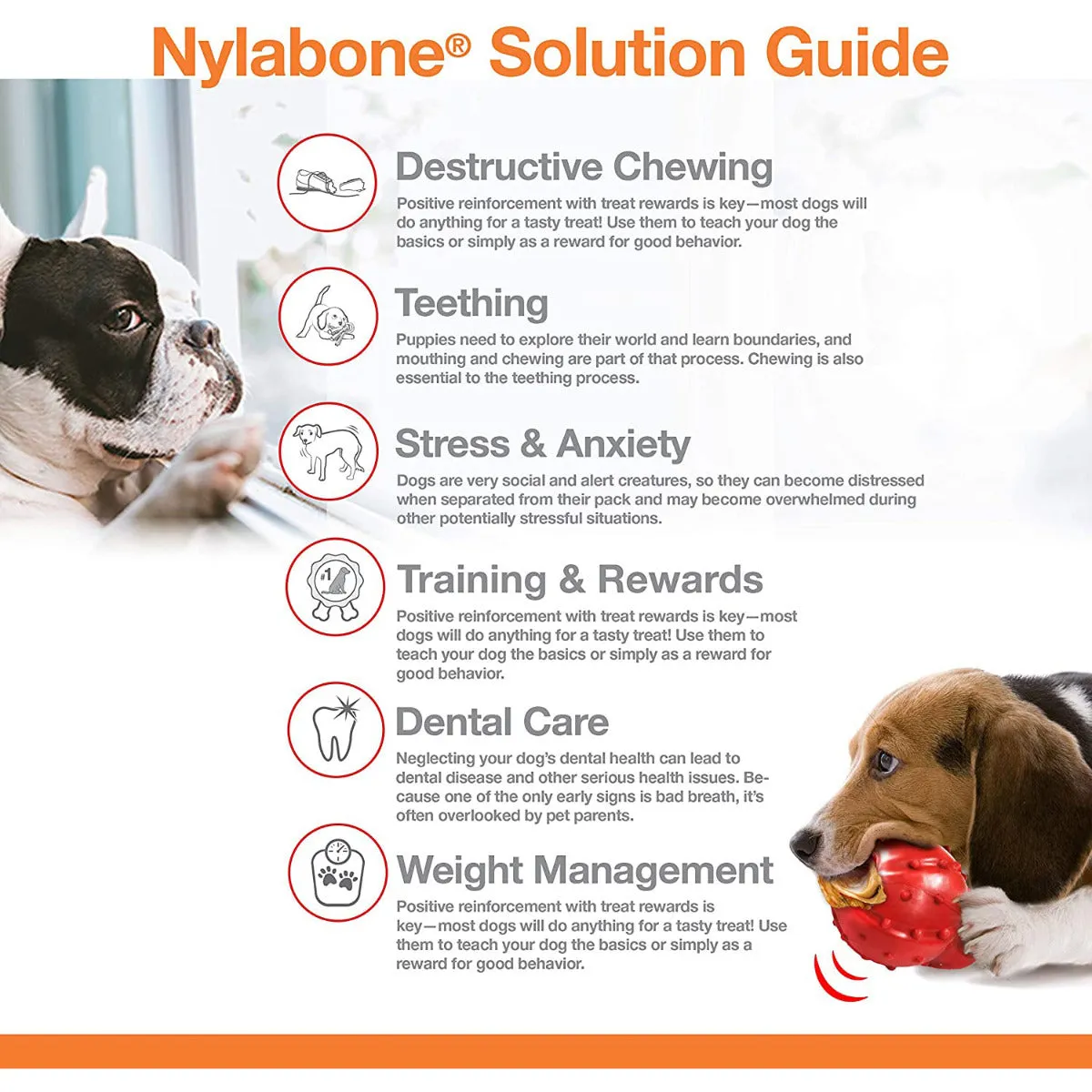 Nylabone DuraChew Textured Bone