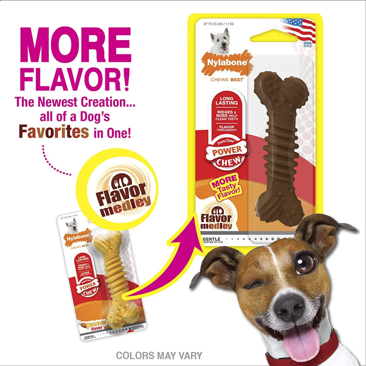 Nylabone DuraChew Textured Bone