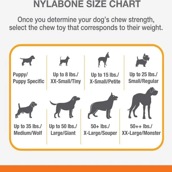 Nylabone Flexichew Moderate Chew Chicken Chew Toy