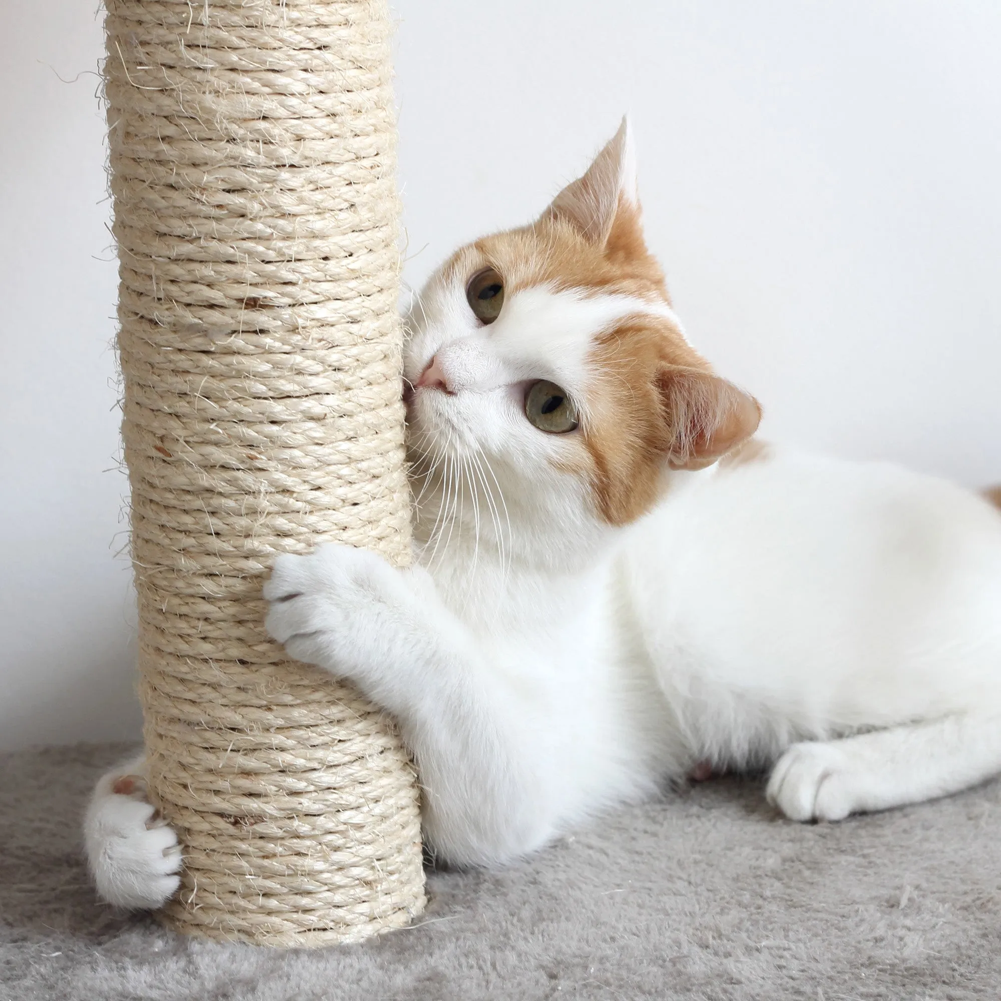 PETMAKER 45in Cat Tree with Kitty Condo, Gray