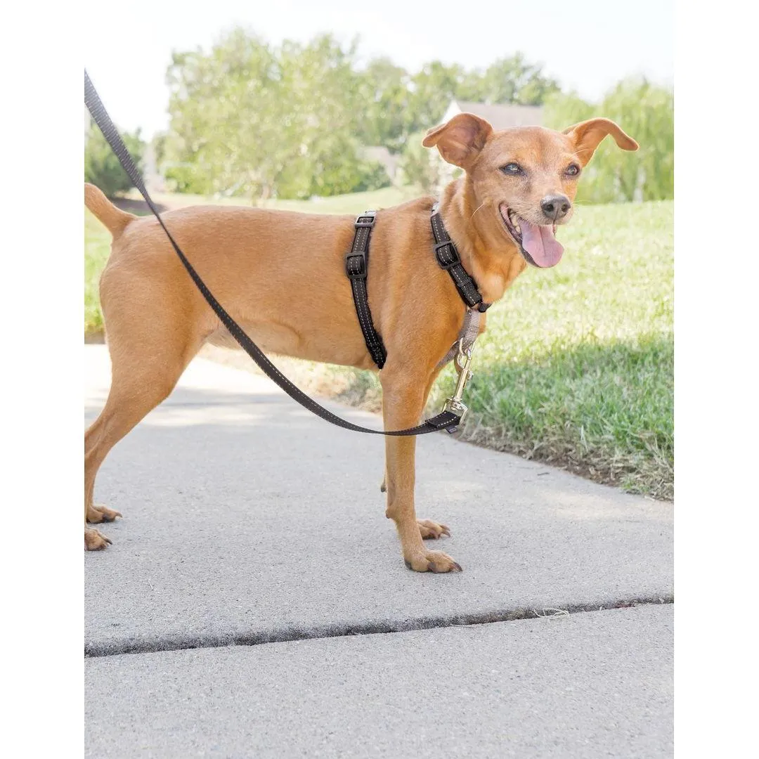 PetSafe 3 in 1 Harness Black