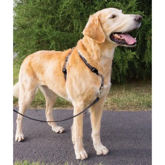 PetSafe 3 in 1 Harness Black