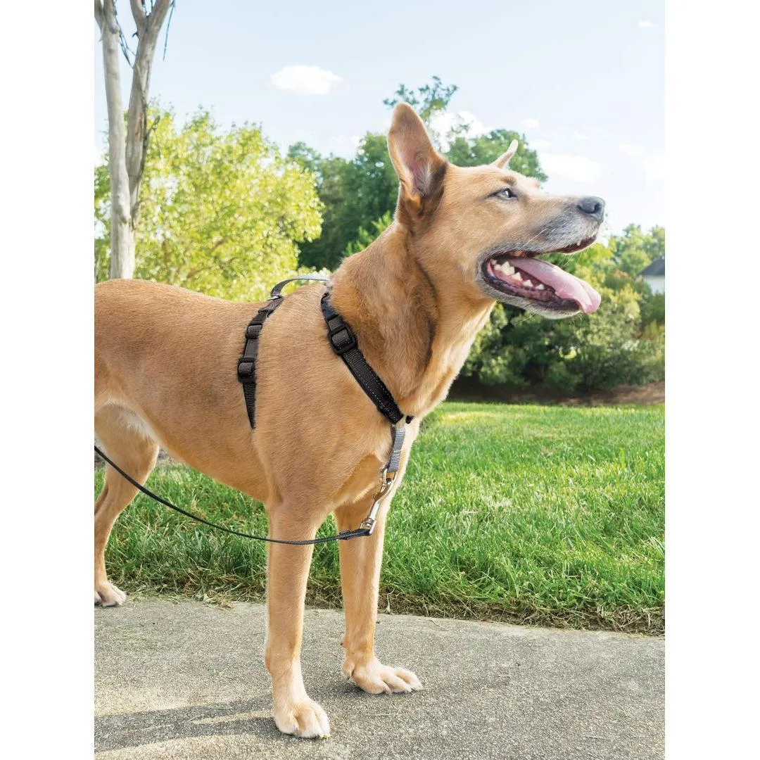 PetSafe 3 in 1 Harness Black
