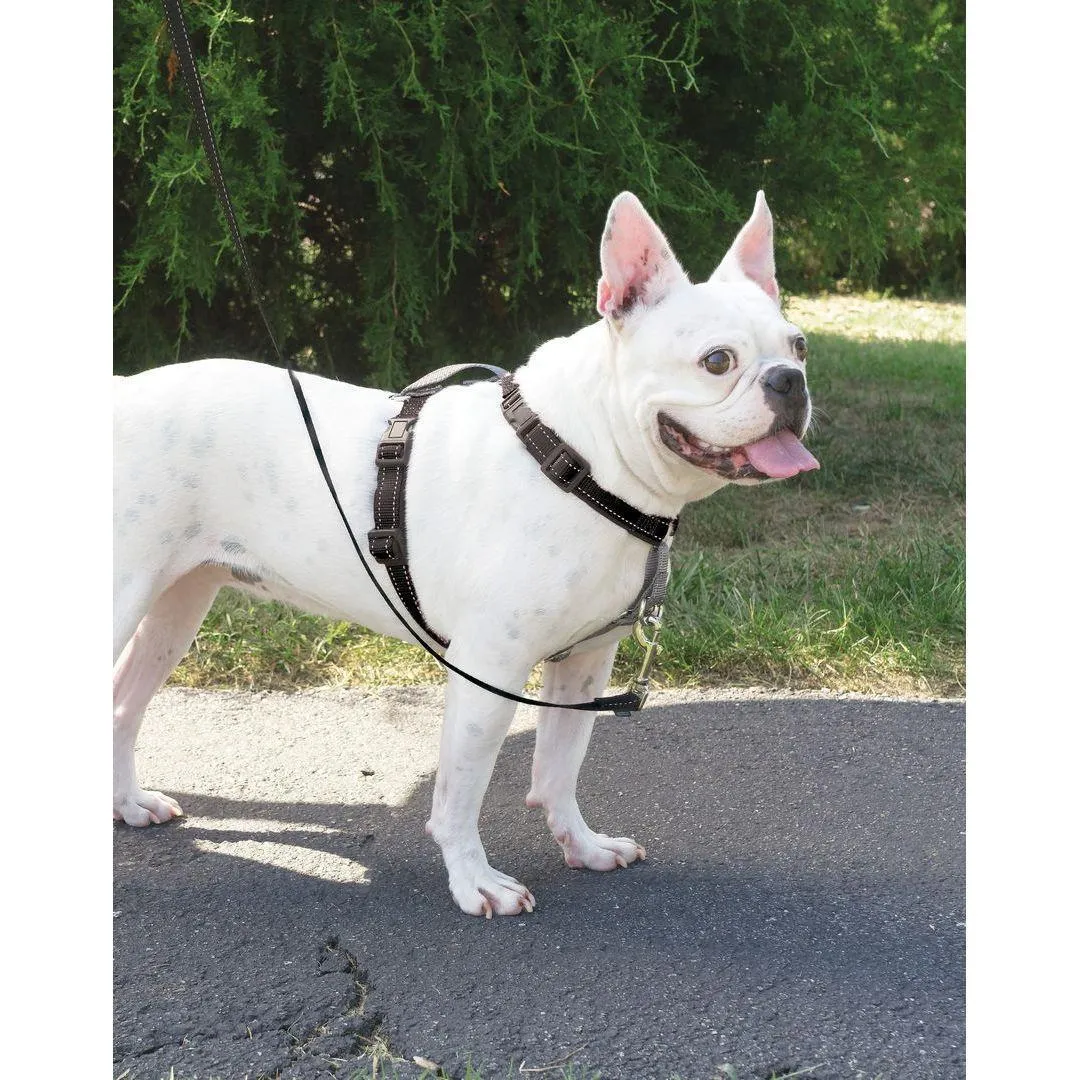 PetSafe 3 in 1 Harness Black