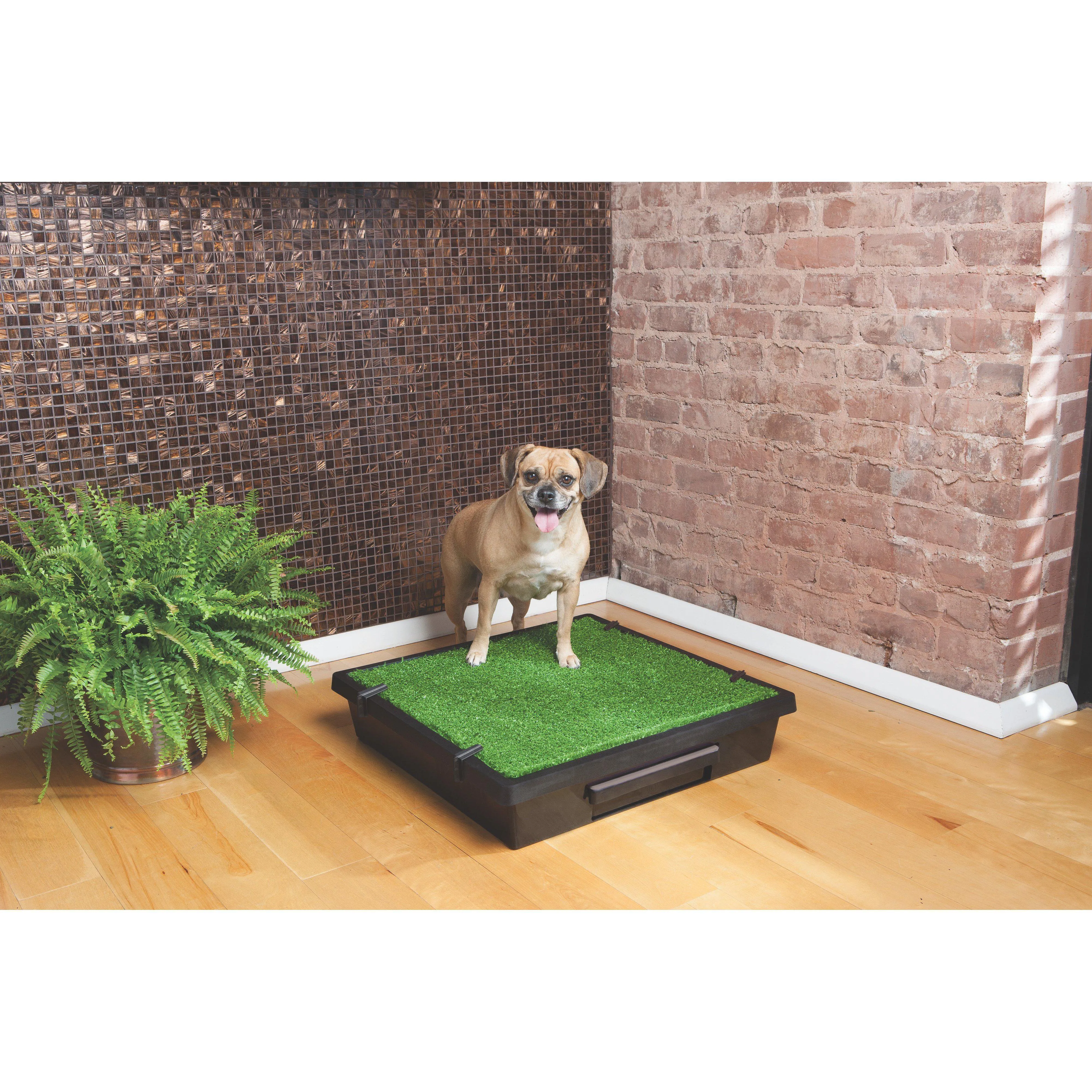 PetSafe The Pet Loo Medium Portable Toilet for Dogs^^^