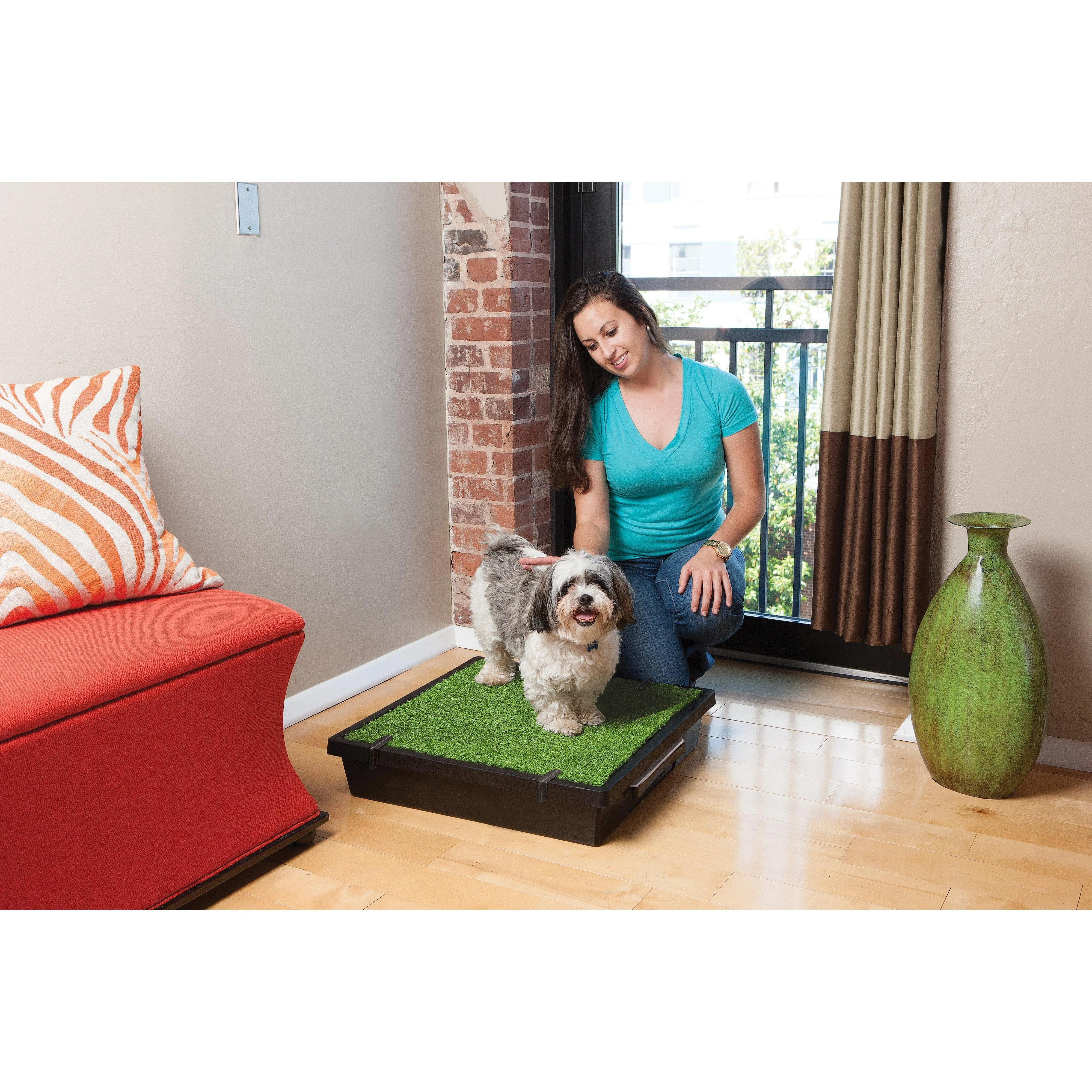 PetSafe The Pet Loo Medium Portable Toilet for Dogs^^^