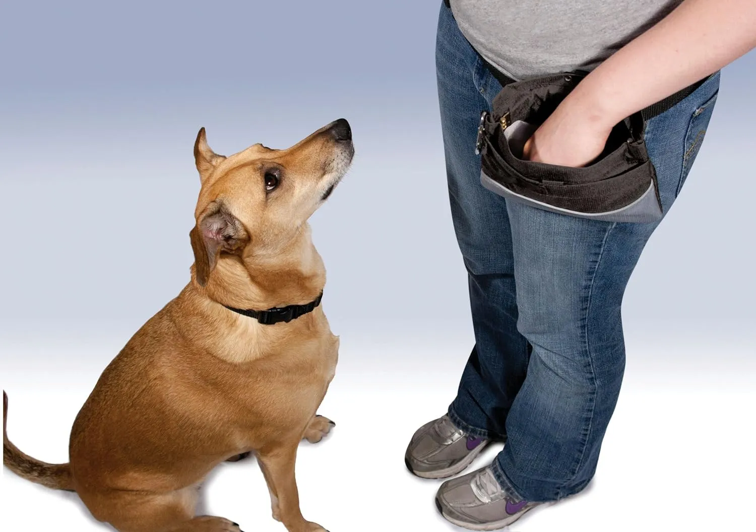PetSafe Treat Pouch Sport For Dogs
