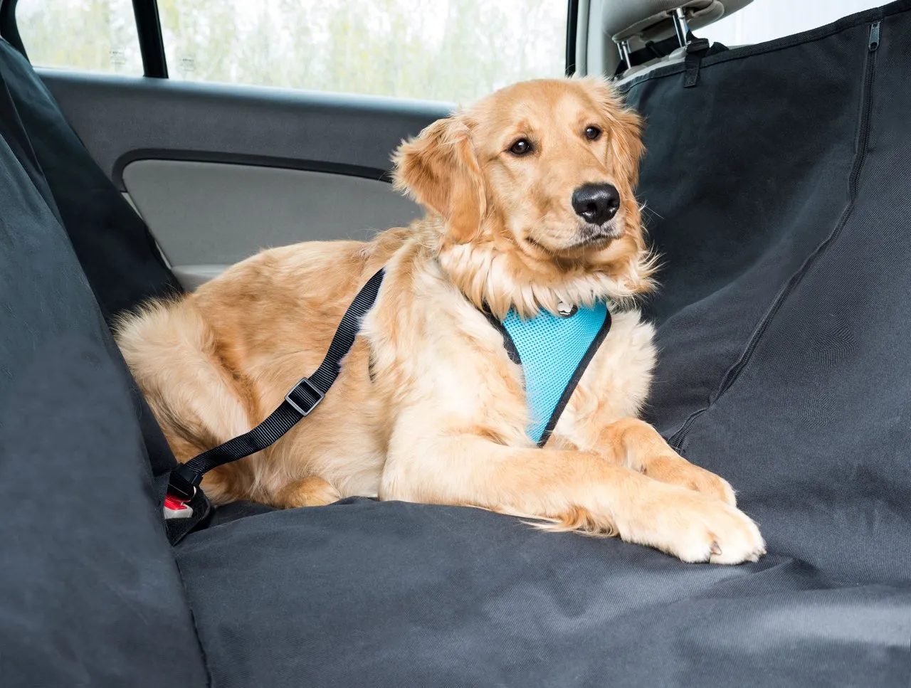 Polycanvas Universal Car Seat Cover