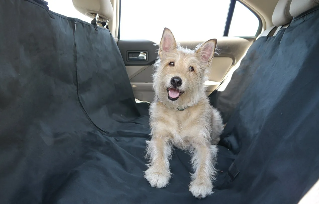 Polycanvas Universal Car Seat Cover
