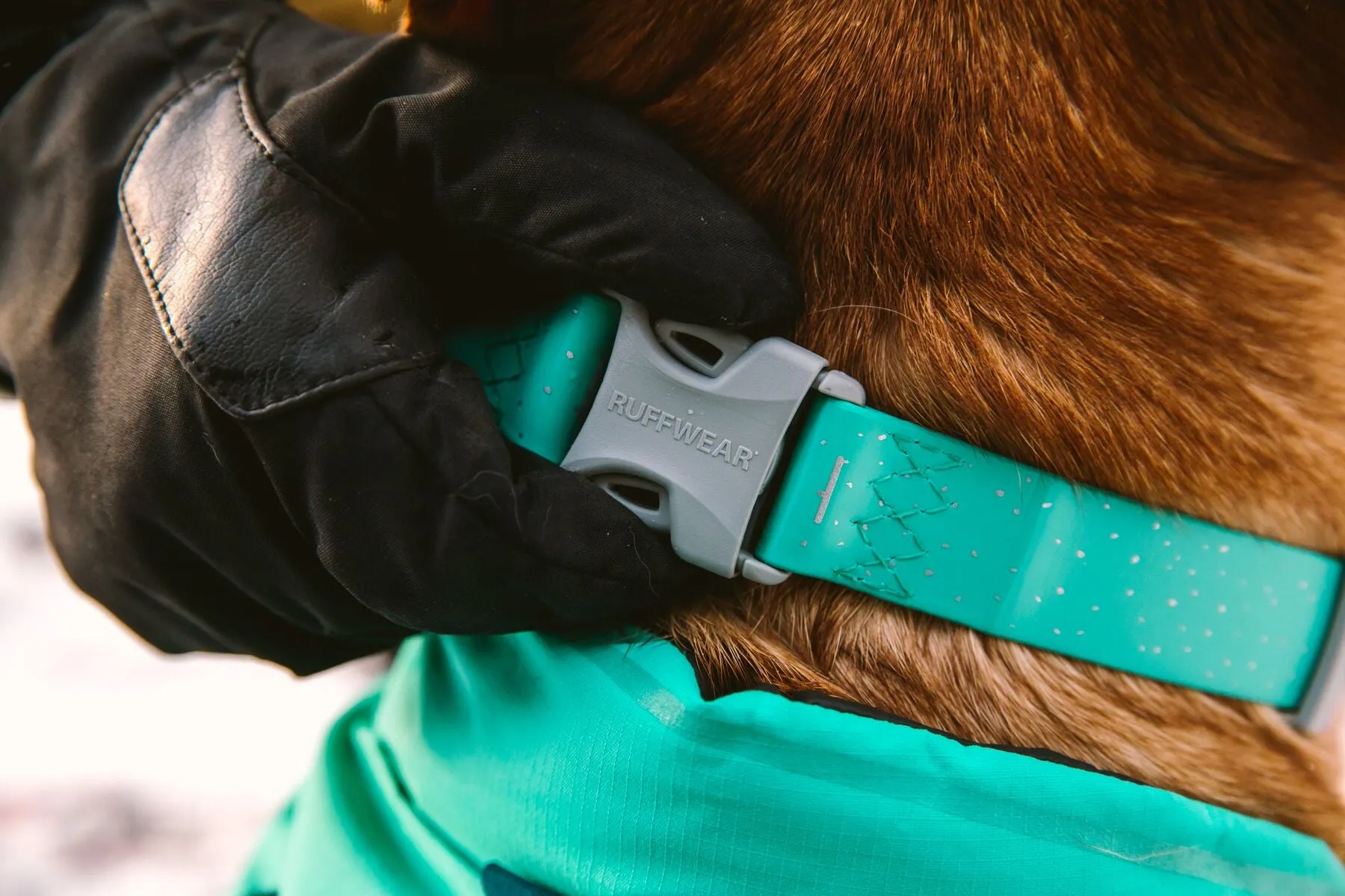 Ruffwear Confluence Reflective Waterproof Dog Collar (Aurora Teal)