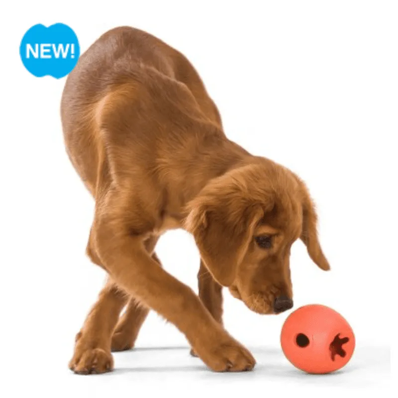 Rumbl Treat Dispensing Toy