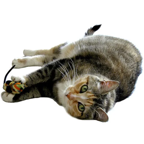 Set of 2 Catnip Mice Toy