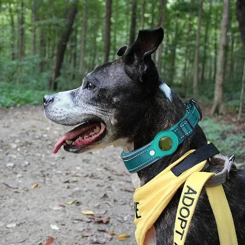 Waterproof Dog Collar