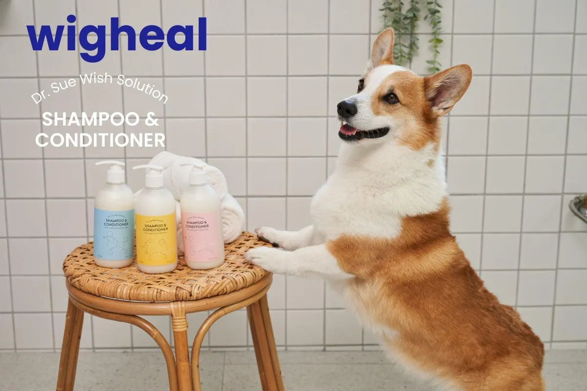 Wigheal Shampoo (500ml)