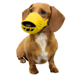 XL Silicone Muzzle for Dogs by Artero