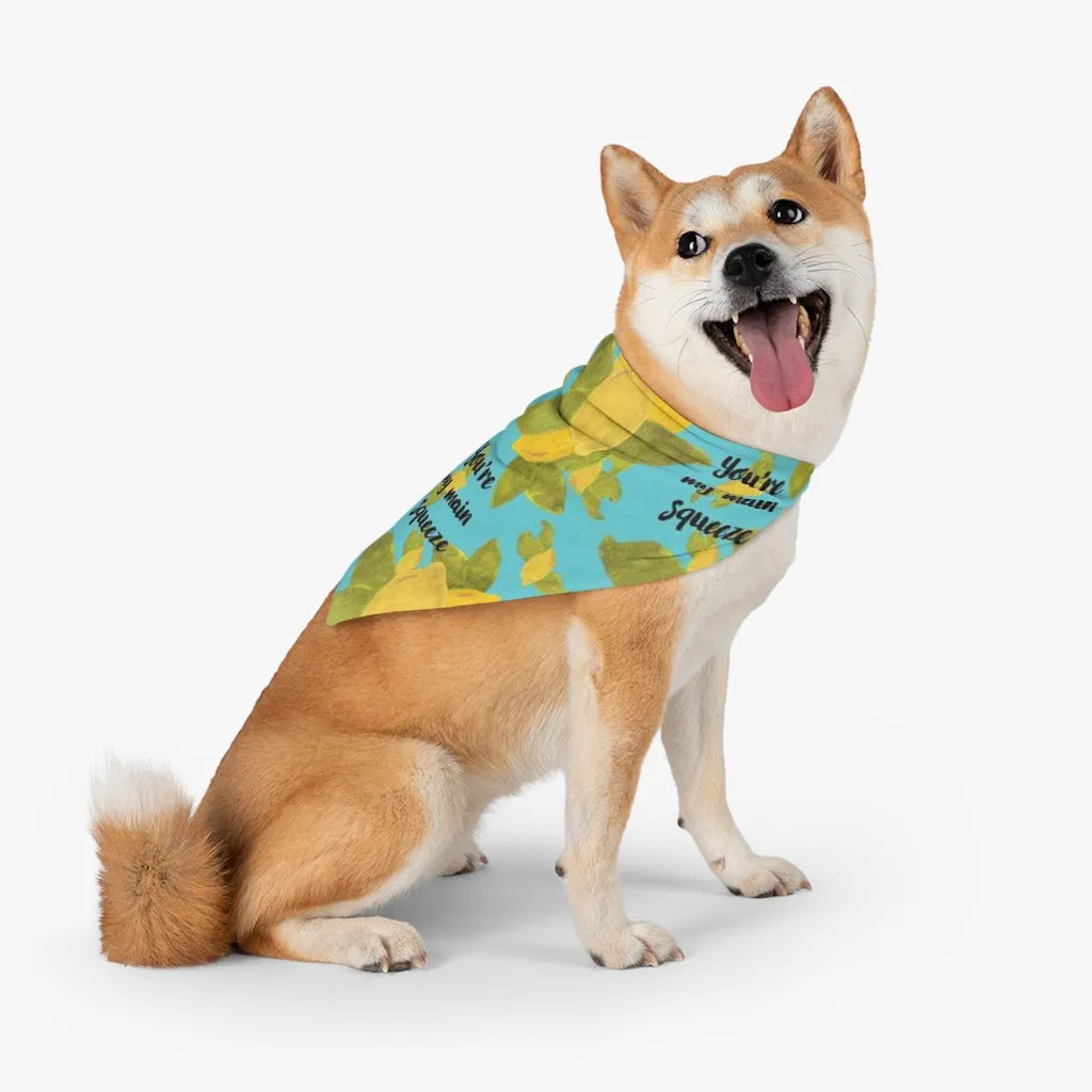 You're my main squeeze  Pet Bandana